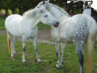 Indy et Joyce, deux soeurs