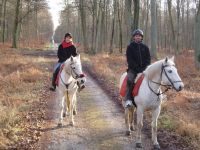 Sandra & Gregory pour la Saint Valentin